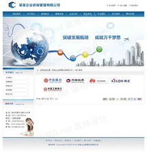 咨詢(xún)公司網(wǎng)站, 頁(yè)面設(shè)計(jì), 企業(yè)管理行業(yè)