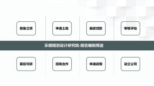 洛寧寫可行性研究報告 立項申請公司